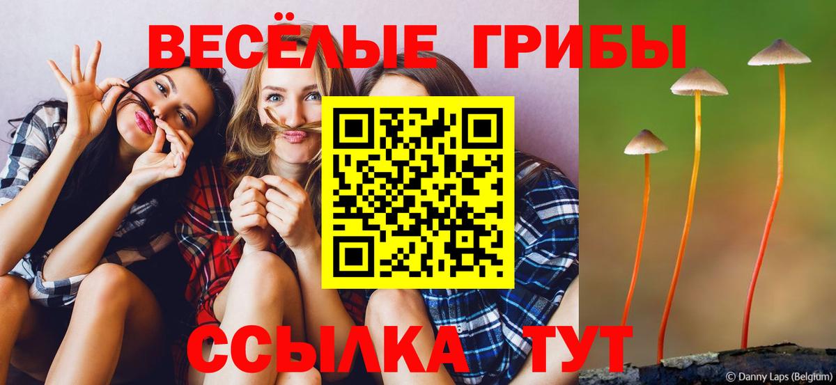 Бутурлиновка  Галлюциногенные грибы Magic Shrooms  Вход с VPN 