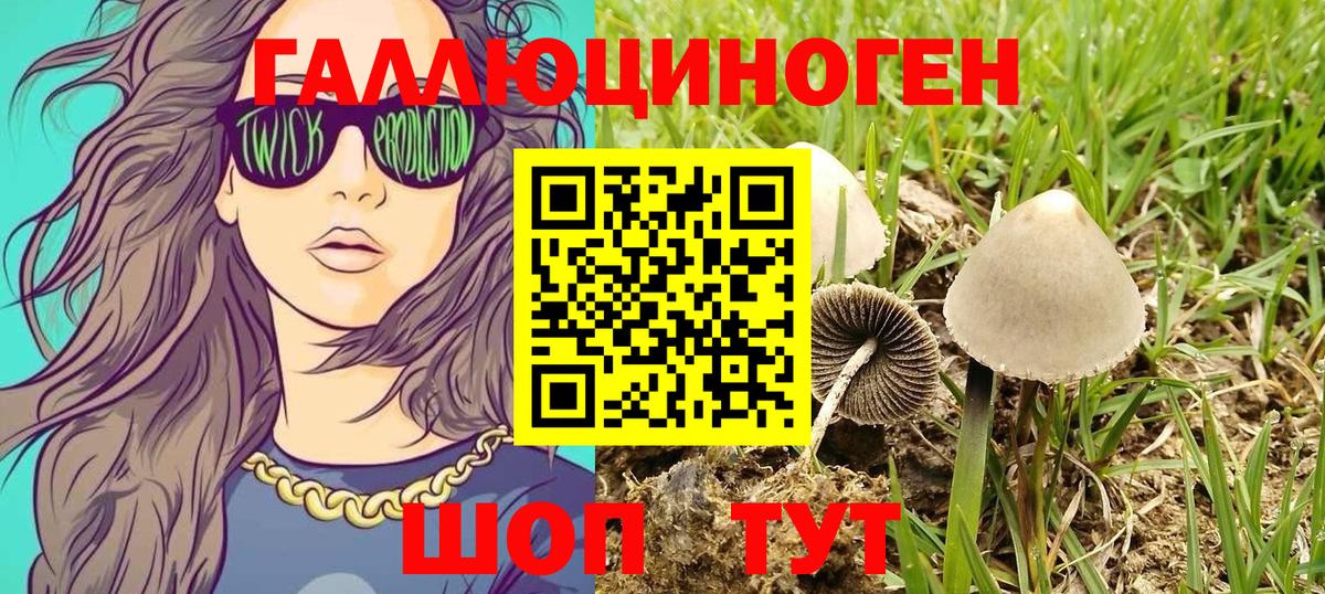 Галлюциногенные грибы Psilocybine cubensis Бутурлиновка